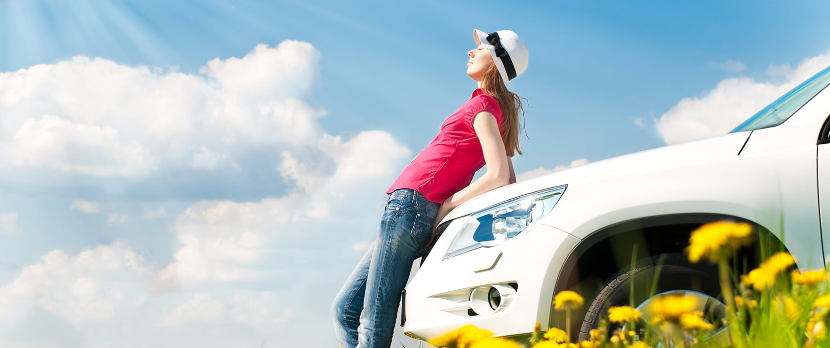 אודות אוטו שי